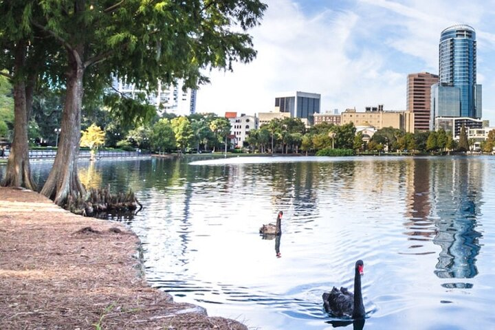 Explore the scenic shores of Lake Eola where charming swans glide by as you uncover intriguing stories and hidden gems of Orlando on a self-guided audio tour.